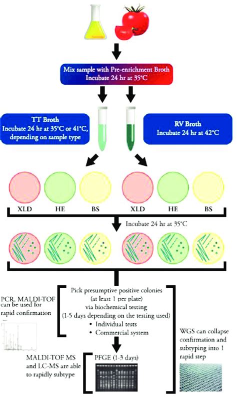 biochemical tests for salmonella|Bacteriological Analytical Manual (BAM).